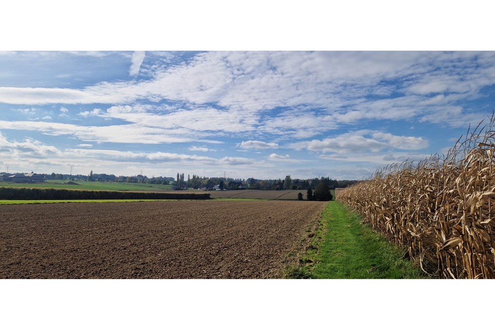 Działka - Sprzedaż - Pruchna, Polska - WhatsApp Image 2025-10-23 at 11.59.45 (2).jpeg - 470131058-381