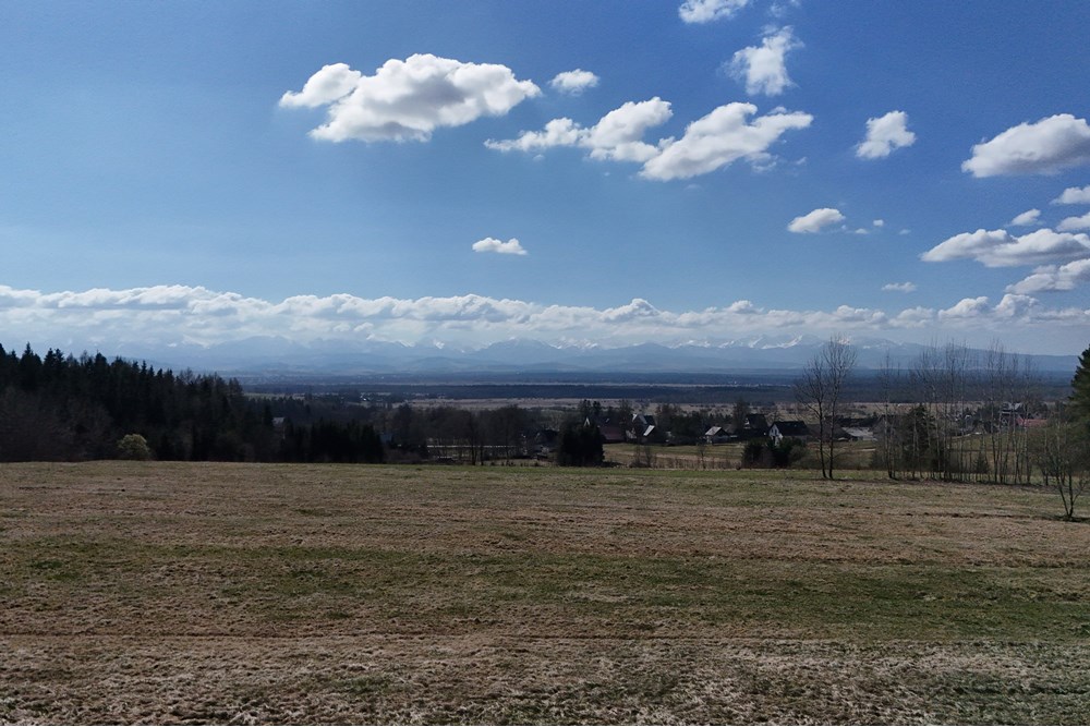 Działka - Sprzedaż - Odrowąż, Polska - DJI_20250404110833_0803_D.JPG - 800091055-1