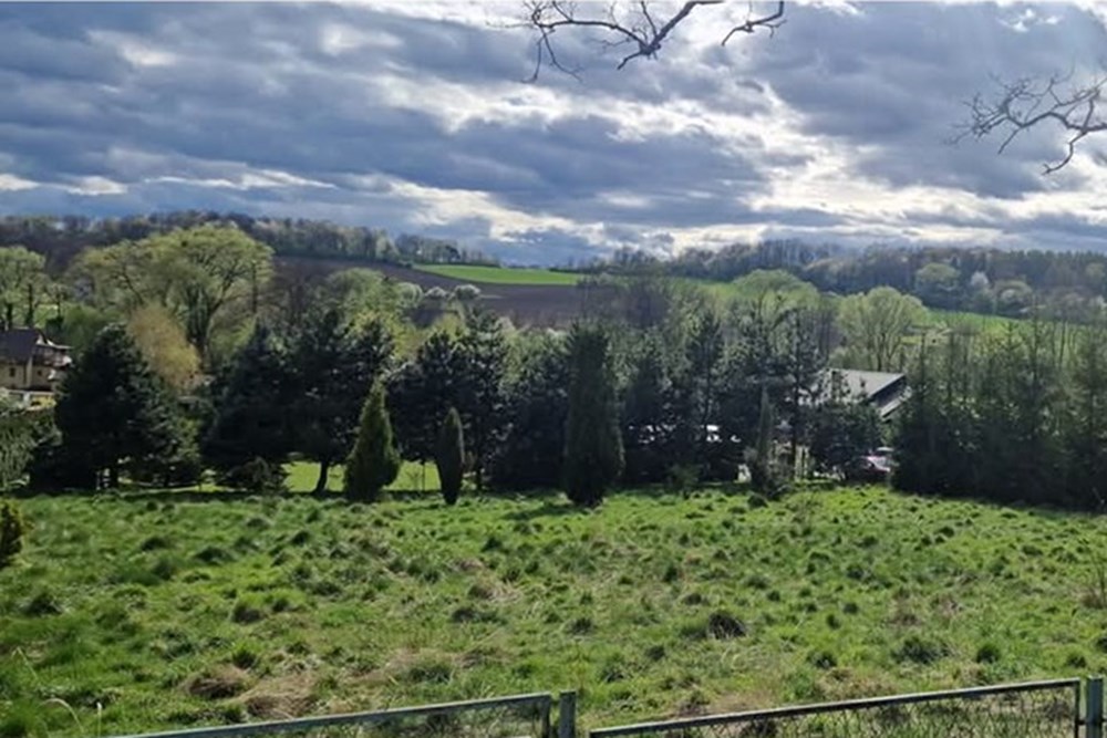 Nieruchomość gruntowa - Sprzedaż - Puńców, Polska - FB_IMG_1735907329719.jpg - 470131058-332