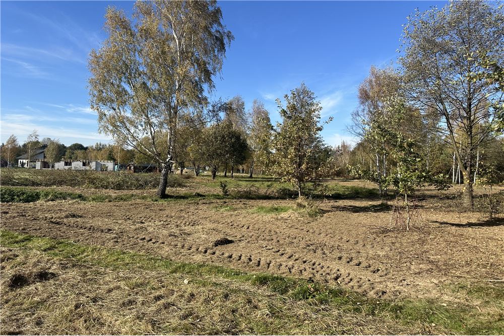 Działka budowlana - Sprzedaż - Jasienica, Polska - 39 - 800061103-173