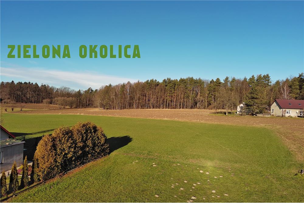 Dom wolnostojący - Sprzedaż - Dębowiec, Polska - 40 - 800061076-445