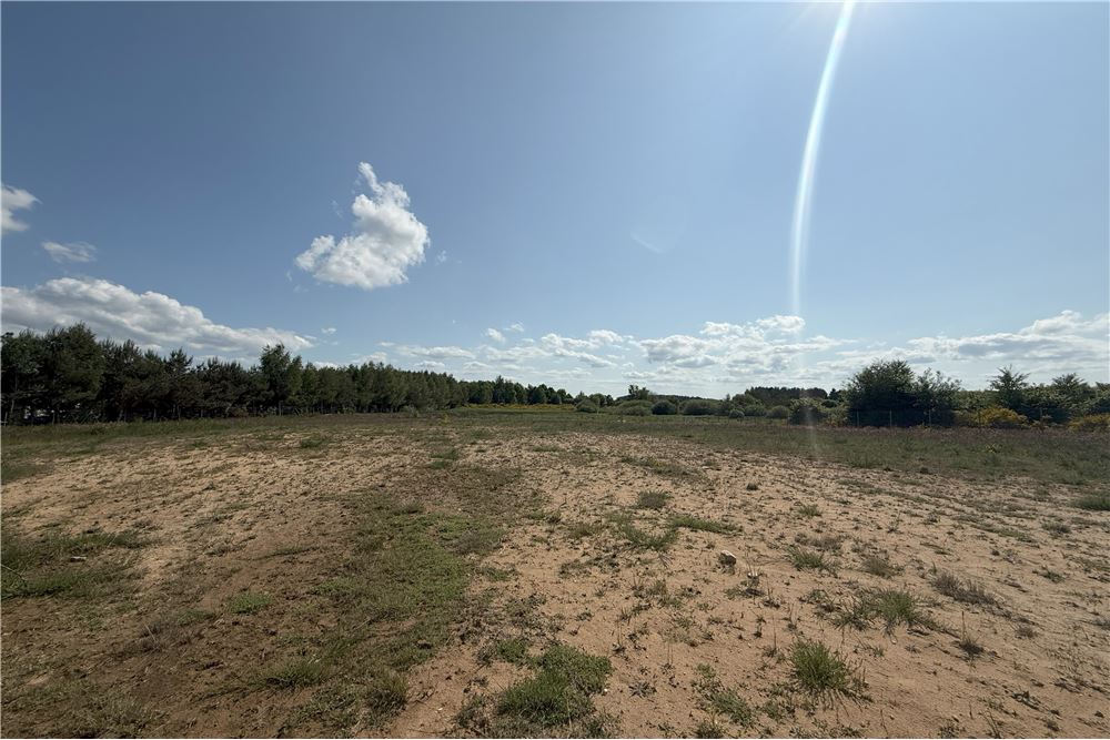 Dom jednorodzinny - Sprzedaż - Charzyno, Polska - 10 - 790221010-37