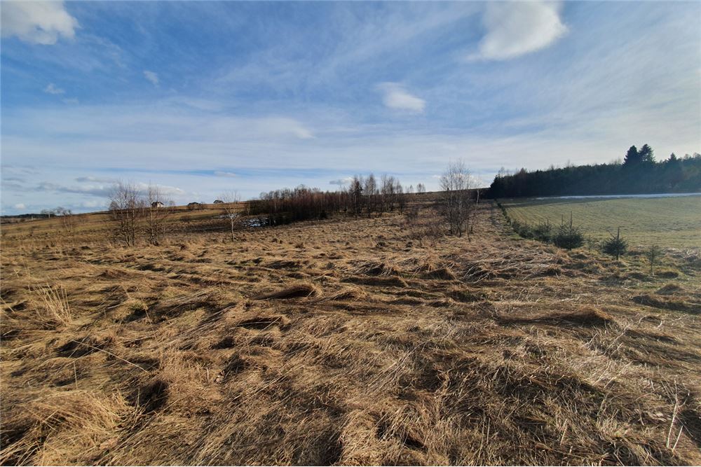 Działka budowlana - Sprzedaż - Bystra, Polska - 2 - 800091026-75