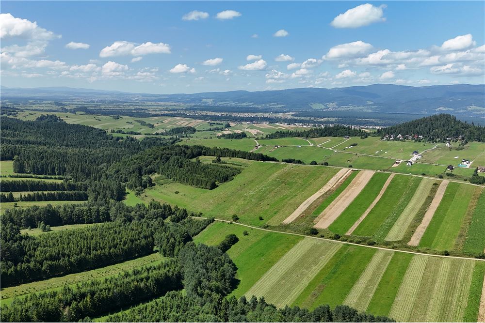 Działka budowlana - Sprzedaż - Dursztyn, Polska - 18 - 800091040-93