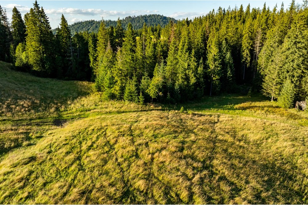 Działka - Sprzedaż - Zakopane, Polska - 20250826-DJI_0091-HDR.jpg - 470151024-450