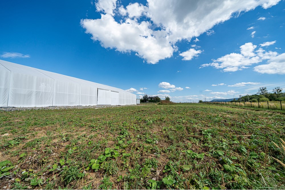 Nieruchomość gruntowa - Sprzedaż - Wieprz, Polska - Foto_003.jpg - 800271009-79