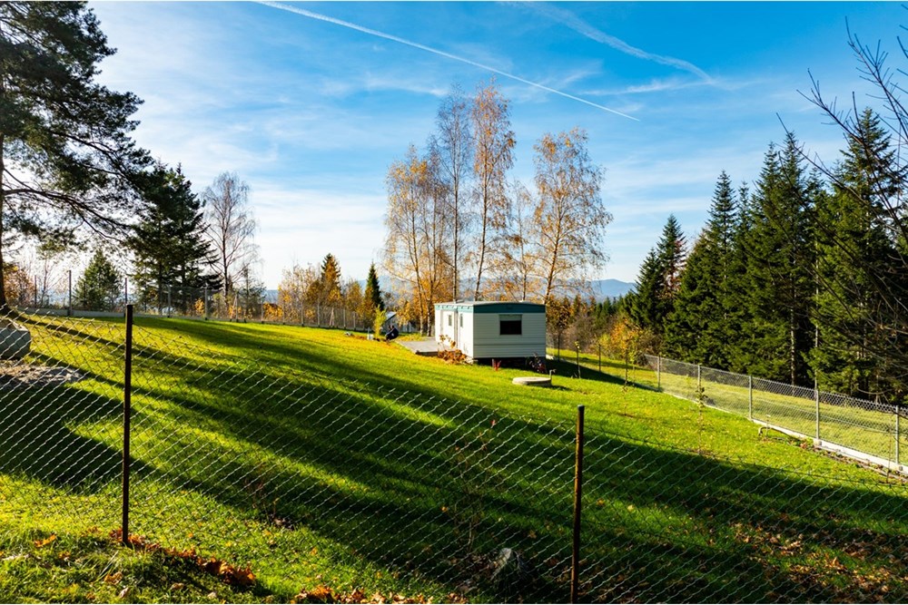 Działka - Sprzedaż - Skawa, Polska - 20251031-DJI_0273-HDR.jpg - 800091056-3