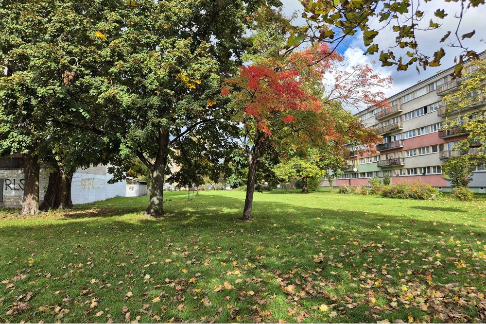 Mieszkanie - Wynajem - Łódź, Polska - skwer.jpg - 470291004-261