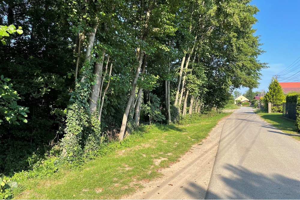 Działka budowlana - Sprzedaż - Krzeczów, Polska - IMG_4973.jpeg - 800241049-2