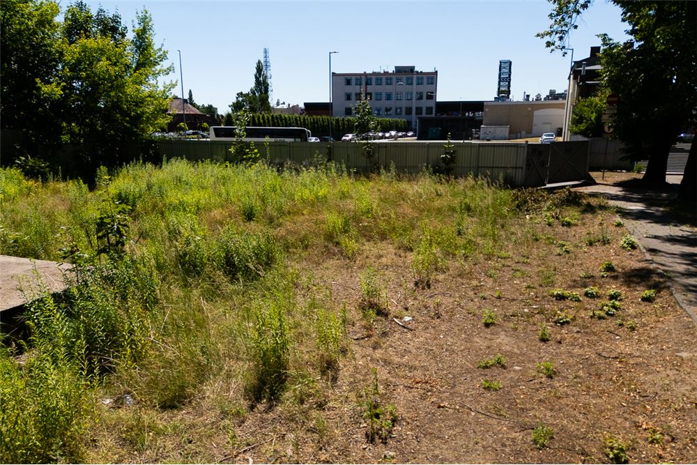 Nieruchomość gruntowa - Sprzedaż - Pabianice, Polska - 9 - 470291001-158