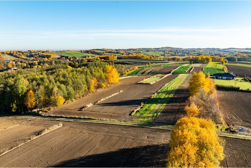 Działka budowlana - Sprzedaż - Trąbki, Polska - 20251031-DJI_0965-HDR.jpg - 800241005-219