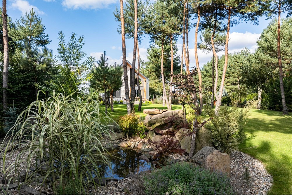 Dom wolnostojący - Sprzedaż - Wilkowyja, Polska - DJI_20251002152449_0566_D.jpg - 790121001-494