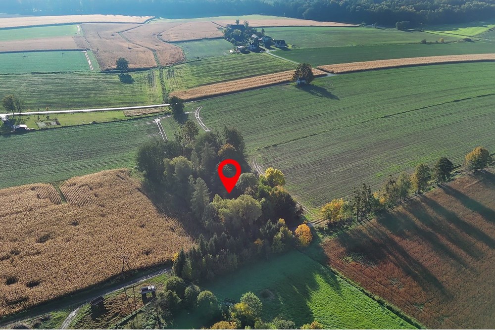 Nieruchomość inwestycyjna - Sprzedaż - Pruchna, Polska - PRU_012M.JPG - 800061076-438