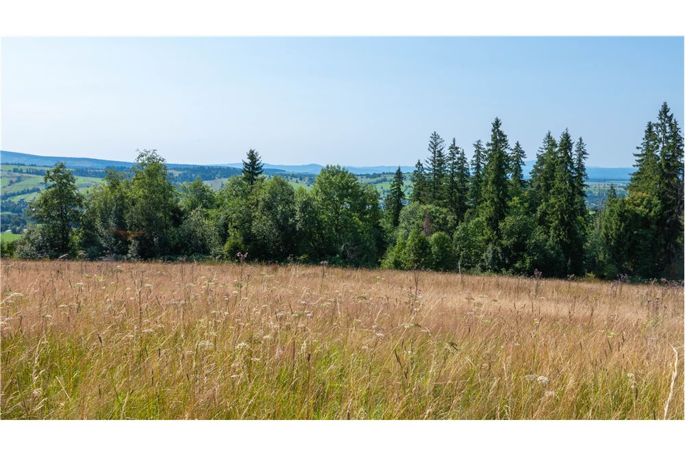 Nieruchomość gruntowa - Sprzedaż - Dzianisz, Polska - 48 - 800061116-23