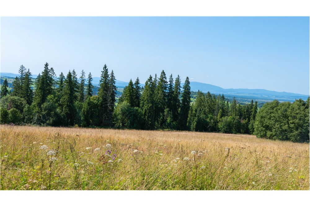 Nieruchomość gruntowa - Sprzedaż - Dzianisz, Polska - 35 - 800061116-23