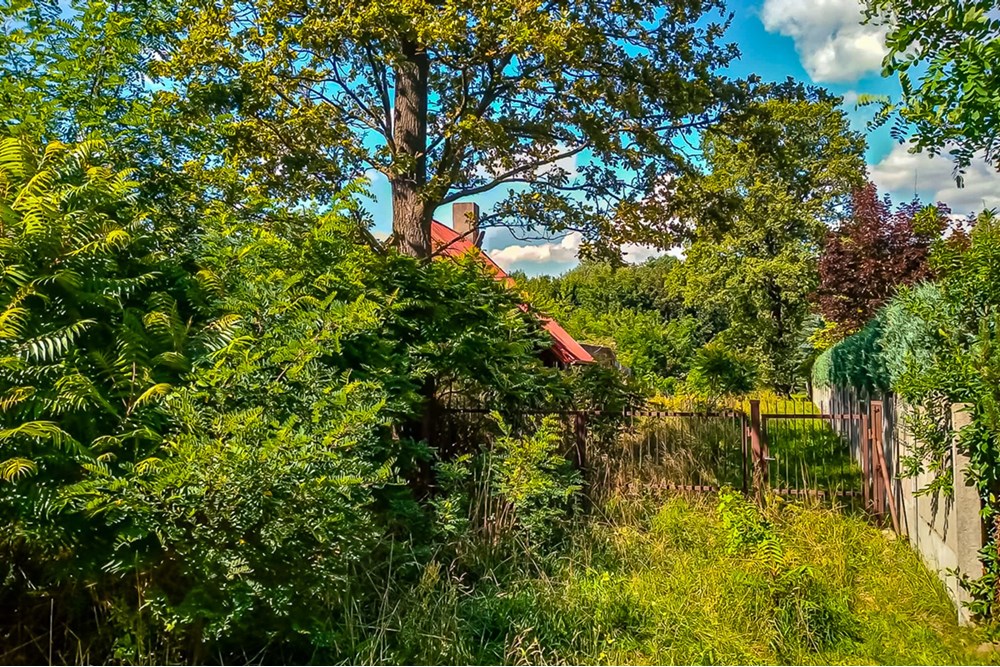 Działka - Sprzedaż - Grabostów, Polska - Dzialki-na-sprzedaz-3.jpg - 470191057-28