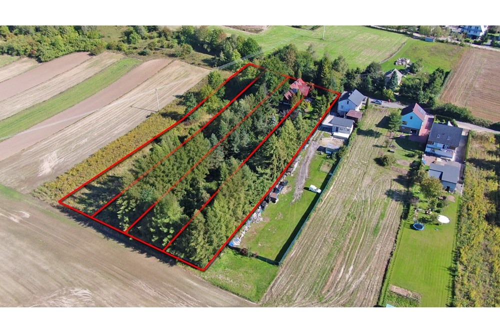 Dom wolnostojący - Sprzedaż - Dobra, Polska - Dobra70 18.jpg - 800041074-23