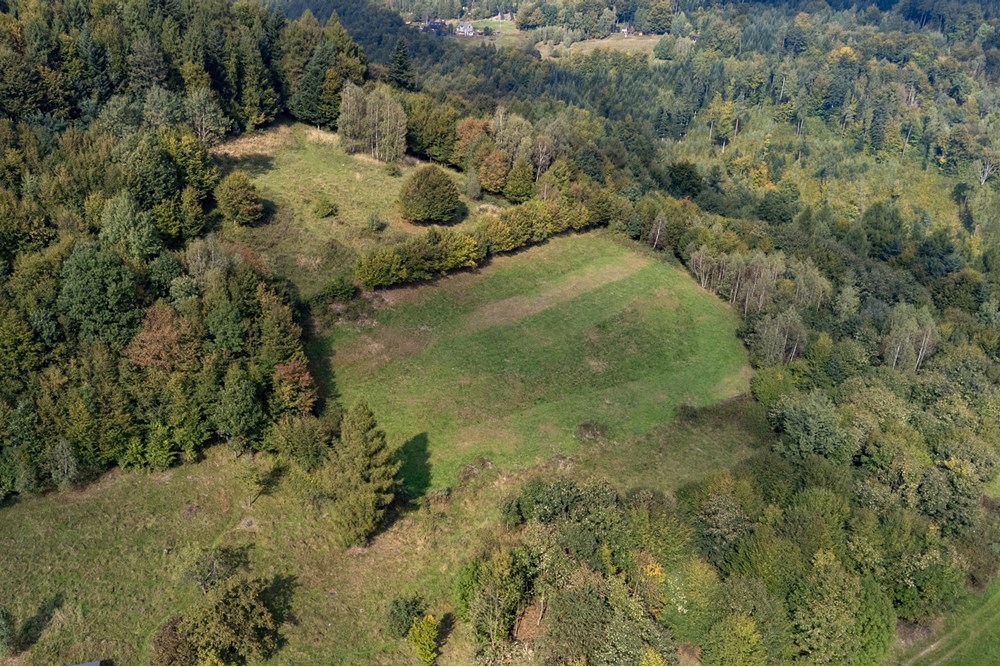 Działka budowlana - Sprzedaż - Międzybrodzie Bialskie, Polska - DJI_0525.jpg - 800061103-193