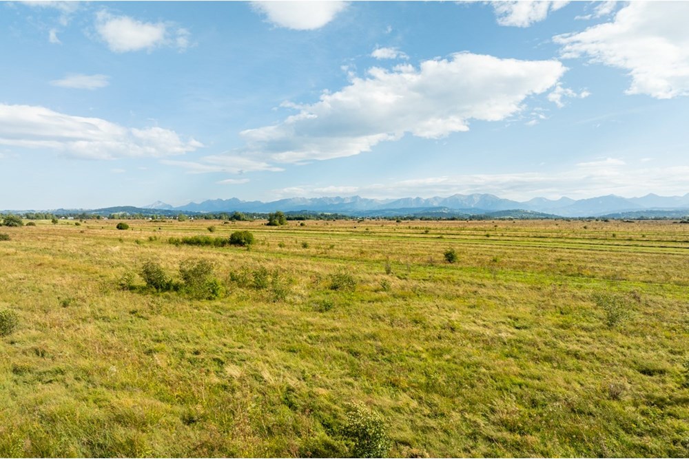 Nieruchomość gruntowa - Sprzedaż - Czarny Dunajec, Polska - 20250828-DJI_0208-HDR.jpg - 470151039-62
