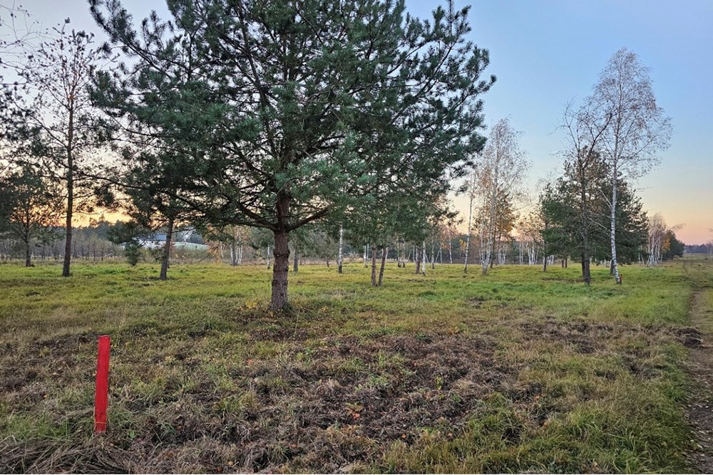Działka - Sprzedaż - Józefów, Polska - 20251107_155126.jpg - 810251061-22