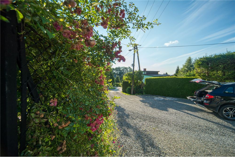 Działka - Sprzedaż - Godziszka, Polska - 20 - 800061116-19