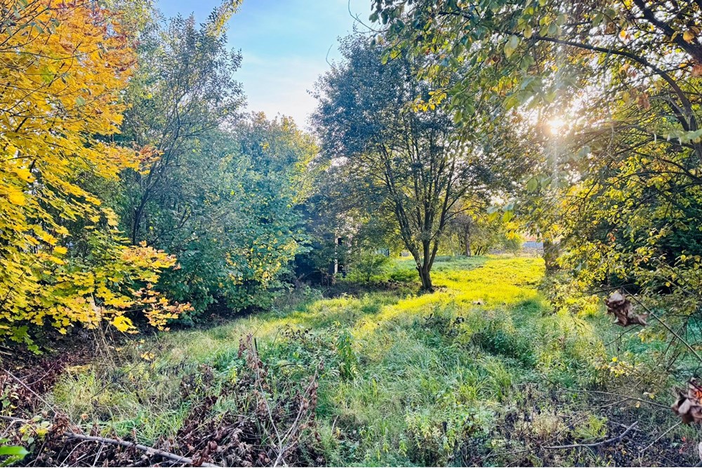 Działka budowlana - Sprzedaż - Rybnik, Polska - zagłoby 21.jpg - 470311001-56