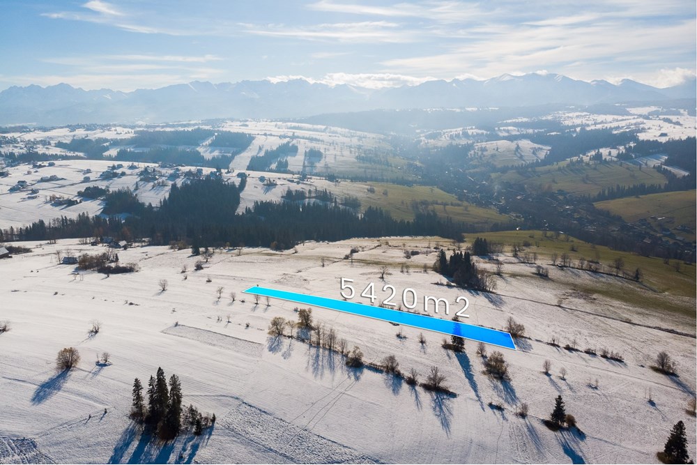 Działka - Sprzedaż - Ratułów, Polska - DJI_0387.jpg - 470151035-149