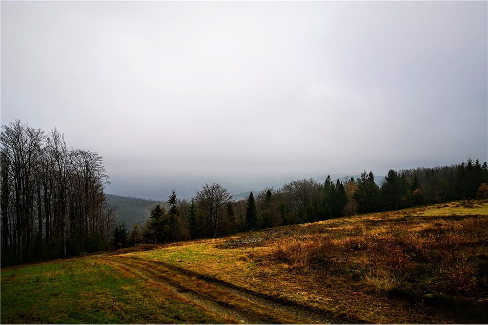 Działka - Sprzedaż - Wisła, Polska - 12 - 470131058-366