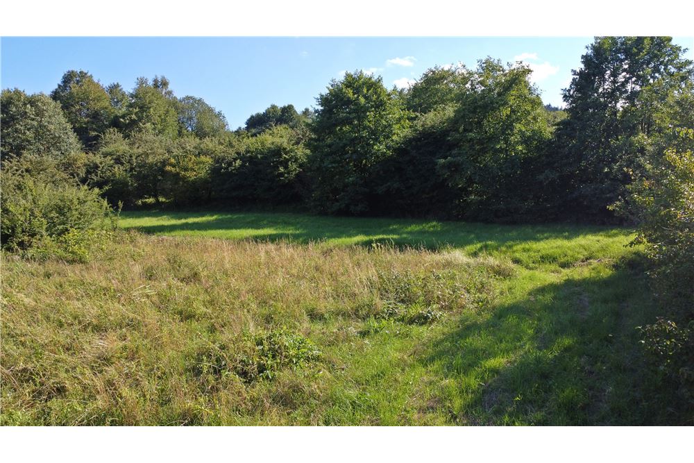 Działka - Sprzedaż - Radziechowy, Polska - 16 - 800061039-516