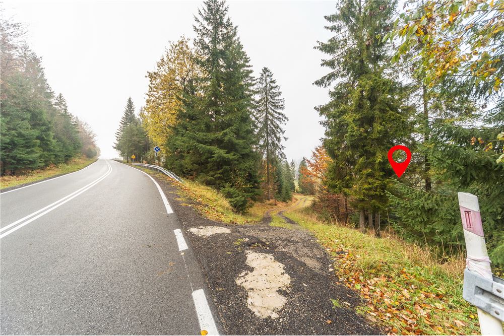 Nieruchomość gruntowa - Sprzedaż - Szczyrk, Polska - 118 - 800061076-426