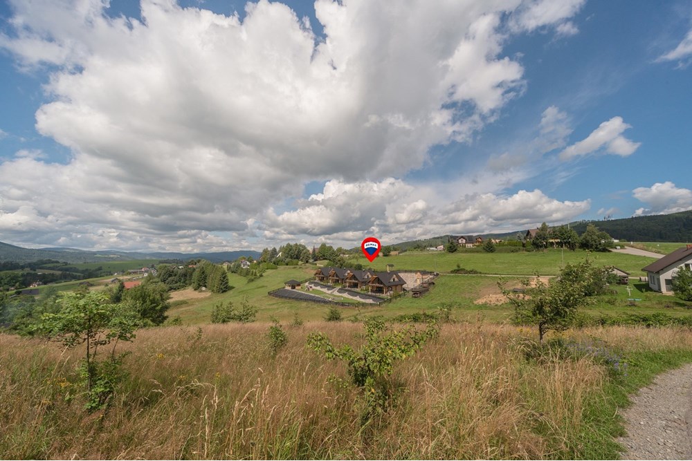 Biznes - Sprzedaż - Istebna, Polska - MIODM_063M.jpg - 800061093-116