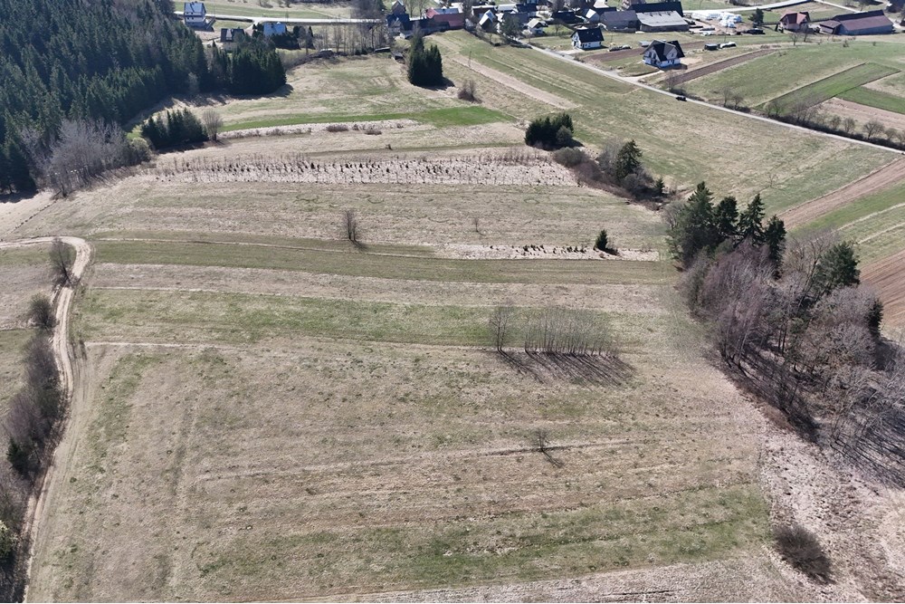 Działka - Sprzedaż - Odrowąż, Polska - DJI_20250404110810_0802_D.JPG - 800091055-1