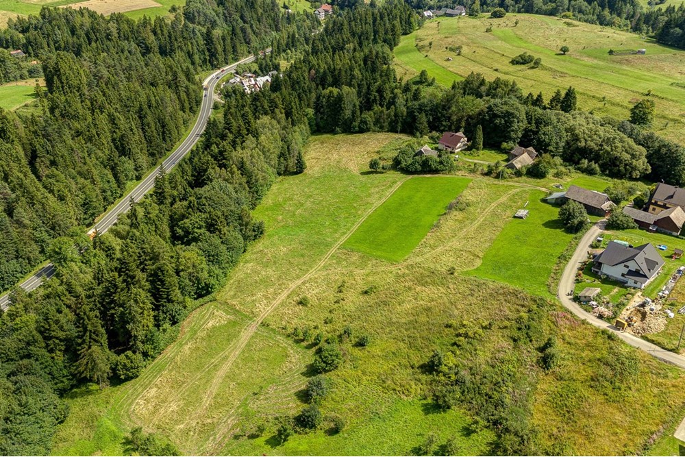 Działka - Sprzedaż - Krośnica, Polska - 0008_pajerski-dzialka-krosnica.jpg - 470131113-349