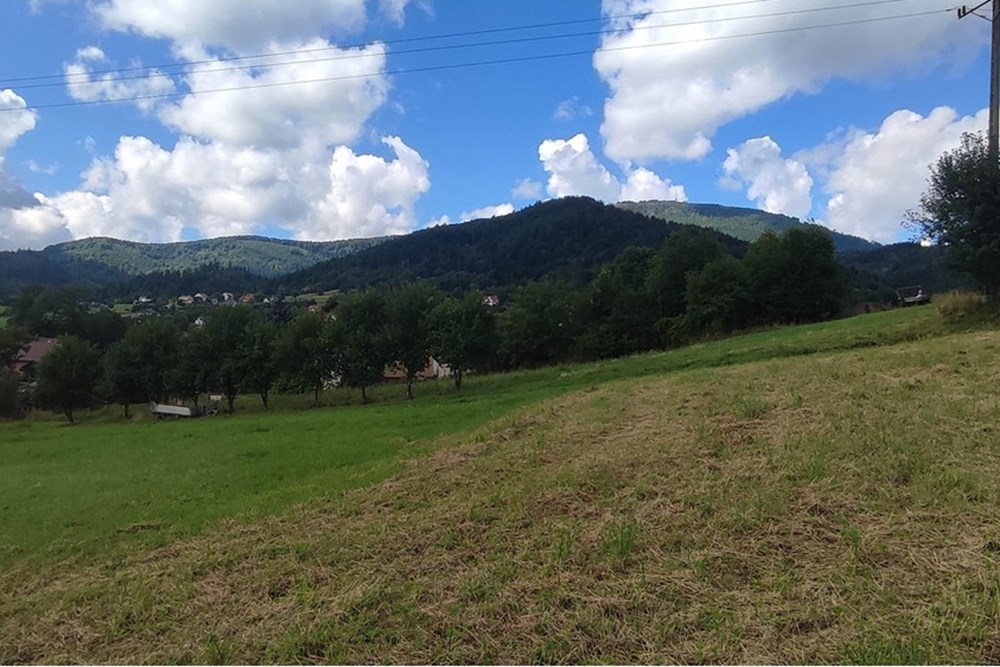 Działka - Sprzedaż - Lipowa, Polska - IMG_20250802_101413.jpg - 800061133-2