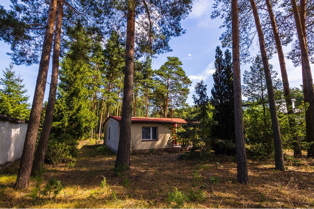 Domek wiejski - Sprzedaż - Człopy, Polska - działka-19.jpg - 470291004-262