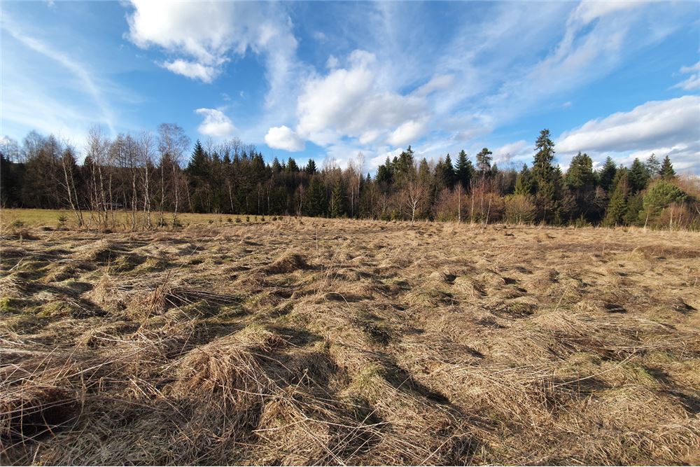 Działka budowlana - Sprzedaż - Bystra, Polska - 17 - 800091026-75