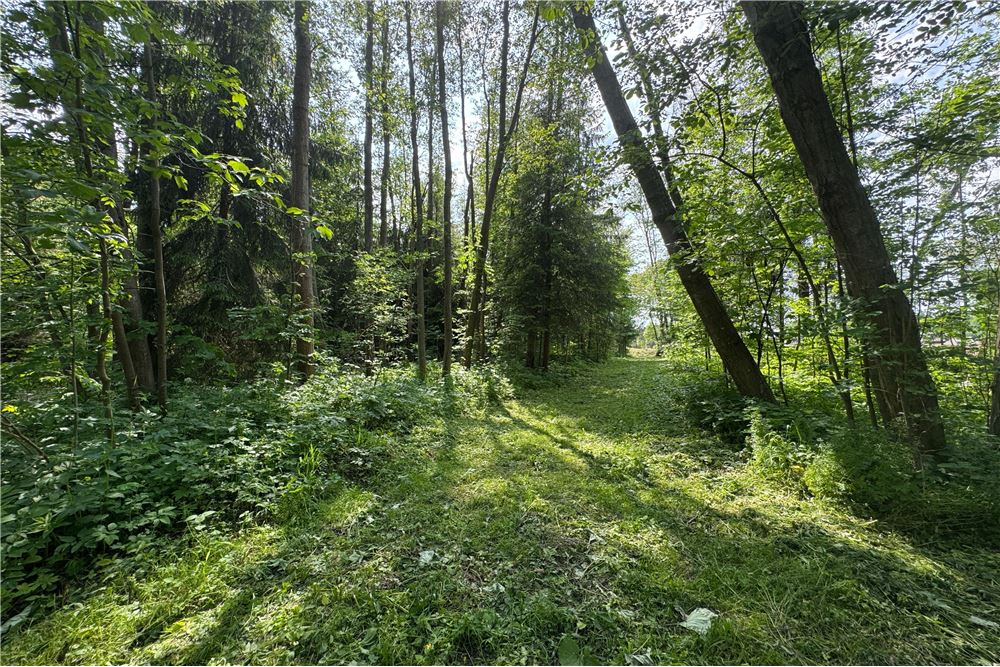 Dom wolnostojący - Sprzedaż - Białka Tatrzańska, Polska - 87 - 470151015-470