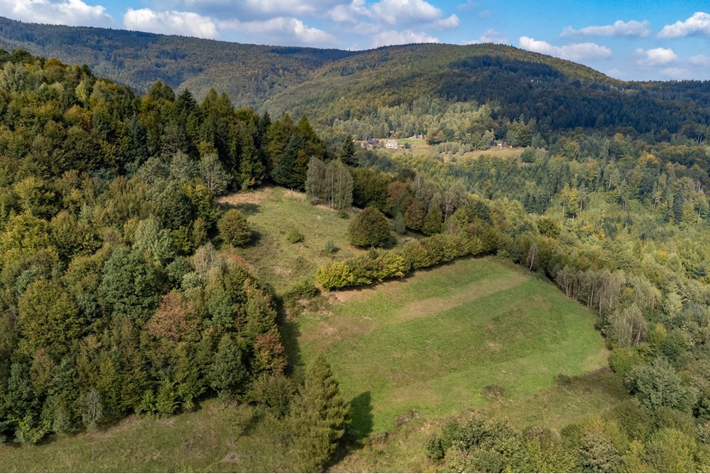 Działka budowlana - Sprzedaż - Międzybrodzie Bialskie, Polska - DJI_0526.jpg - 800061103-193