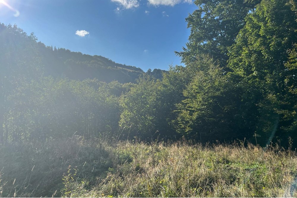 Działka - Sprzedaż - Wisła, Polska - IMG-20250911-WA0009.jpg - 470131058-373