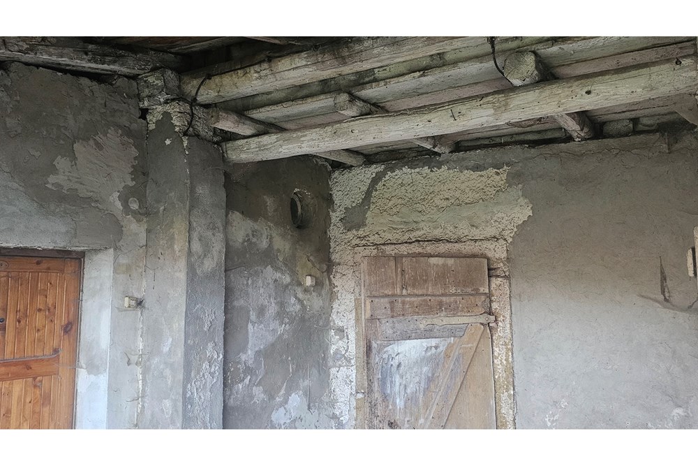 Willa - Sprzedaż - Krzeszów, Polska - 20251106_153735(1).jpg - 800061135-23