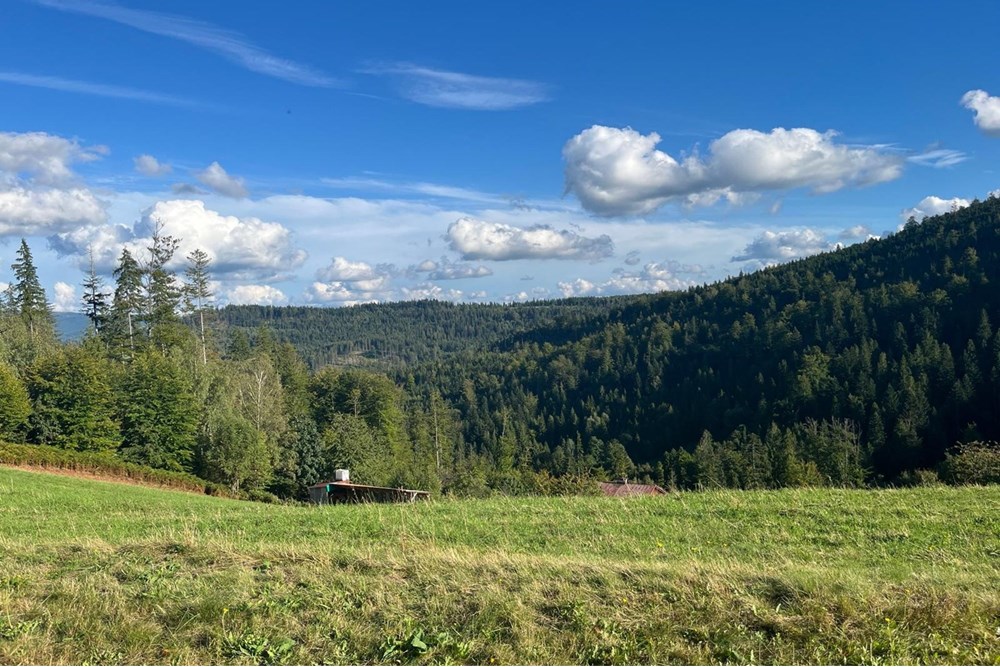 Działka - Sprzedaż - Wisła, Polska - IMG-20250911-WA0010.jpg - 470131058-373