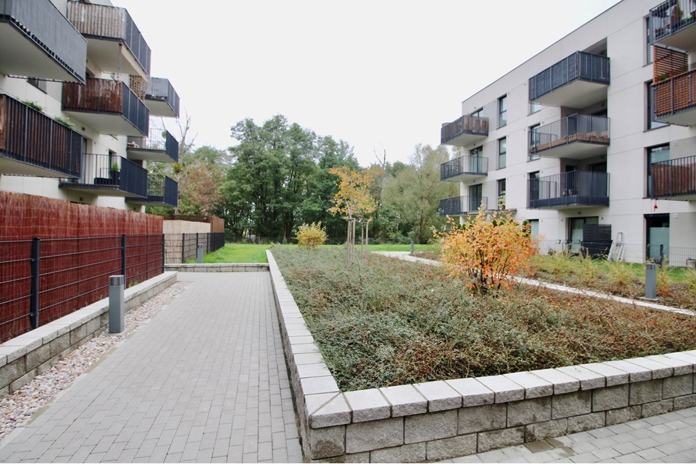 Mieszkanie - Wynajem - Warszawa, Polska - IMG_7658.jpeg - 810051053-2