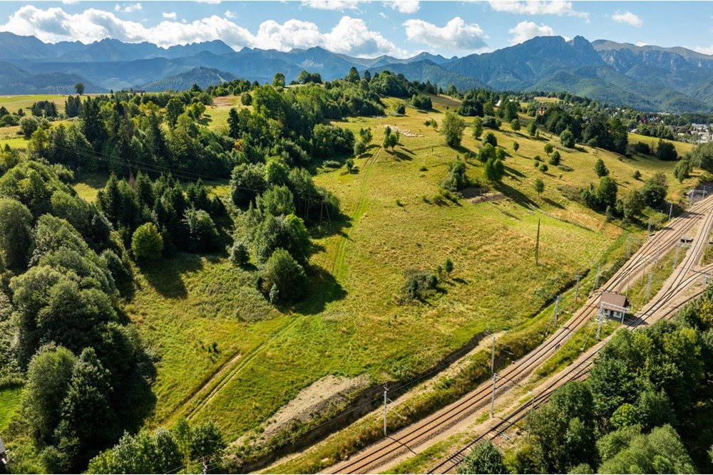 Działka - Sprzedaż - Zakopane, Polska - Artur Zając remax  (7).jpg - 800091026-83