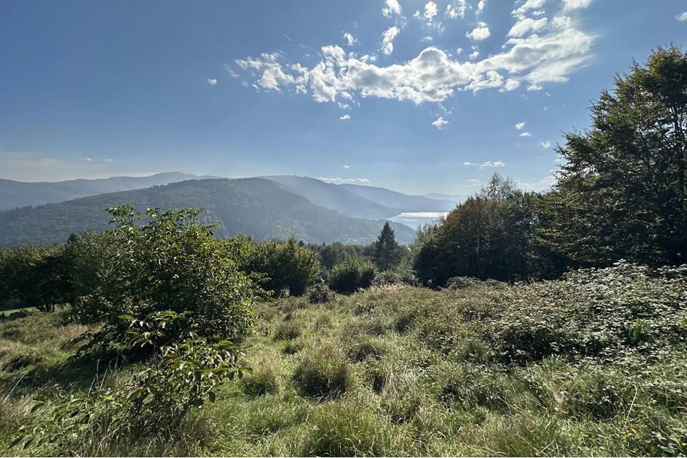 Działka budowlana - Sprzedaż - Międzybrodzie Bialskie, Polska - IMG_1848.jpg - 800061103-193