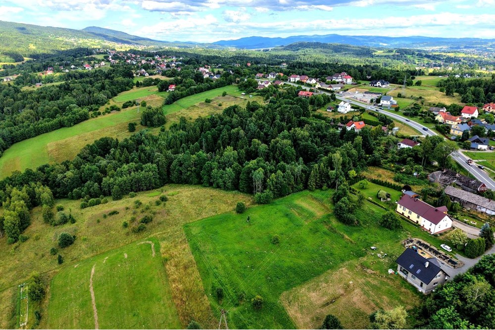 Działka budowlana - Sprzedaż - Jordanów, Polska - dzial_005.jpg - 800091049-24