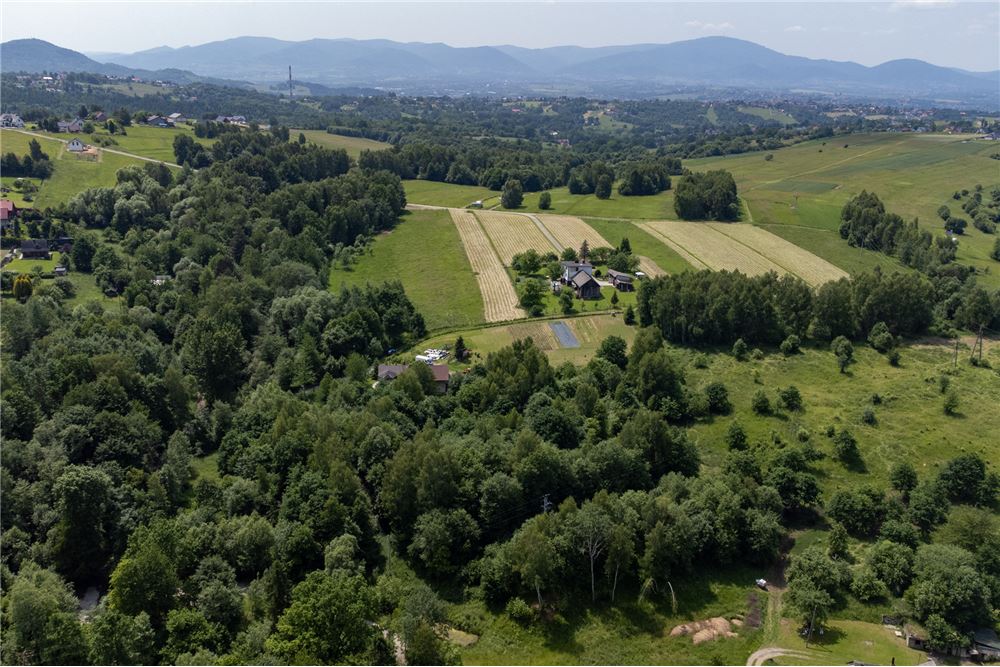 Działka budowlana - Sprzedaż - Rychwałd, Polska - 52 - 800061103-169