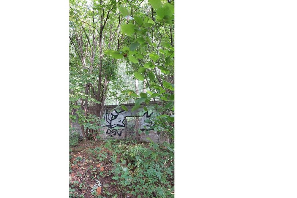 Działka - Sprzedaż - Kęty, Polska - kety 10.jpg - 470131109-33