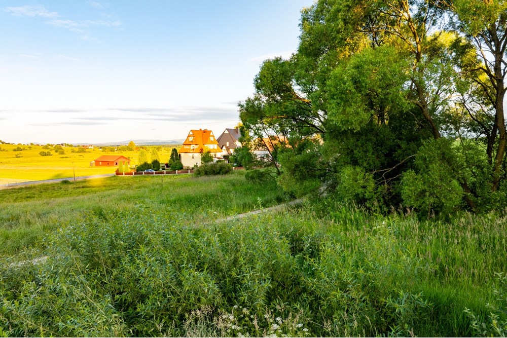 Działka budowlana - Sprzedaż - Pieniążkowice, Polska - DJI_0580-HDR-26.jpg - 800091045-36