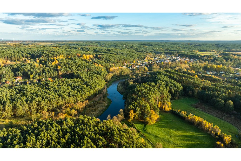 Dom wolnostojący - Sprzedaż - Toporów, Polska - 1 (16).jpg - 810251052-72