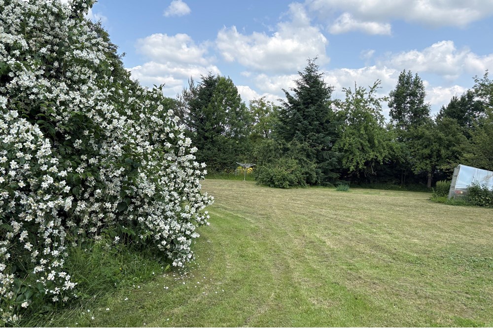 Dom jednorodzinny - Sprzedaż - Cieszyn, Polska - IMG_0243.jpeg - 800061121-13